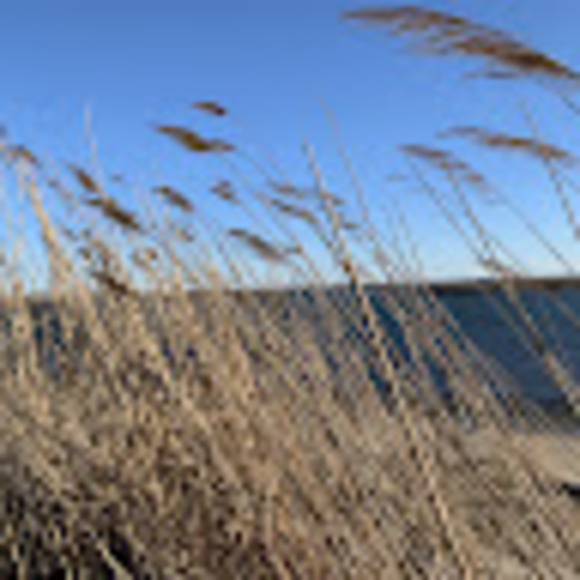 Meet your Posher, Andelli - Picture 1 of 1